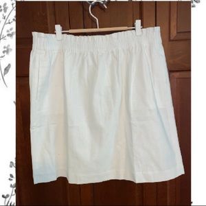 J Crew Skirt
